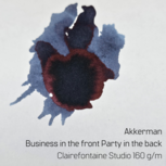 Akkerman Business in the front Party in the back