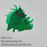 Akkerman - Bezuidenwoudgroen