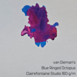 Van Dieman&#039;s Blue Ringed Octopus - inksample