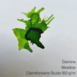 Diamine - Meadow - Inksample