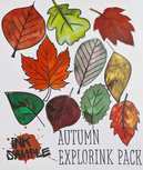 Autumn1 - ExplorINK pack - limited edition