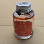 Inktfles leeg - Teranishi Guitar 40 ml - LEEG! gebruikt