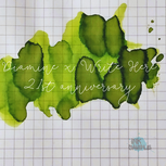 Diamine x Write Here - 21st Anniversary - WH21