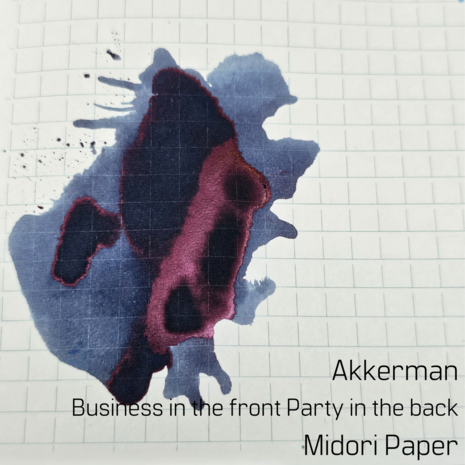 Akkerman Business in the front Party in the back - inksample