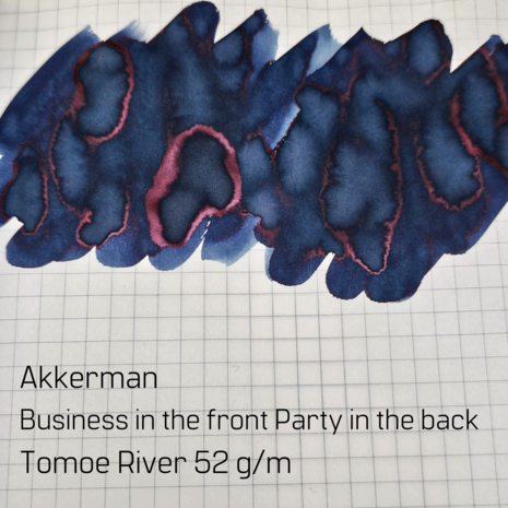 Akkerman Business in the front Party in the back