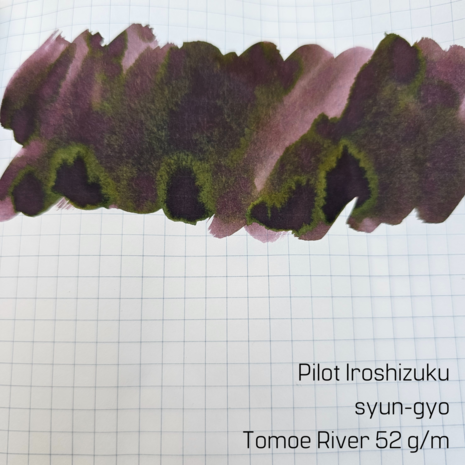 Pilot Iroshizuku - syun-gyo - inksample