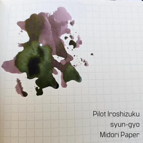 Pilot Iroshizuku - syun-gyo - inksample
