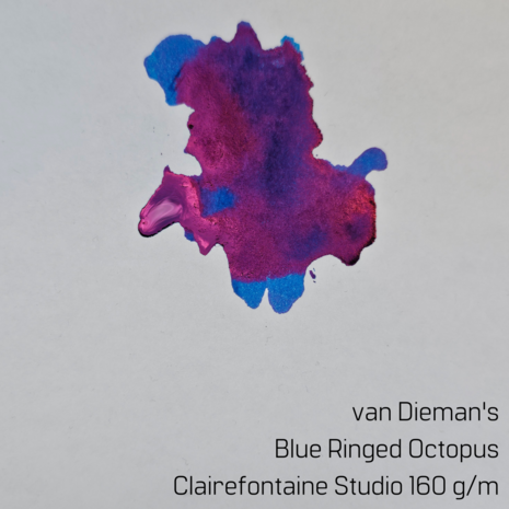 Van Dieman&#039;s Blue Ringed Octopus - inksample