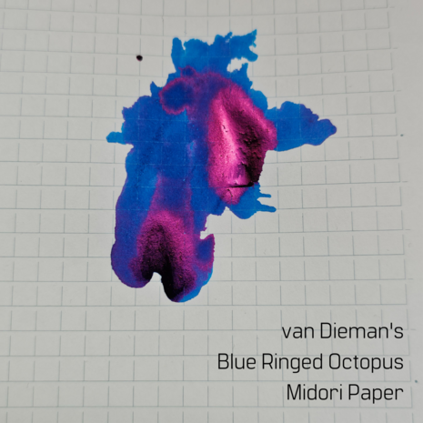 Van Dieman&#039;s Blue Ringed Octopus - inksample