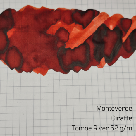 Monteverde -  Giraffe - inksample