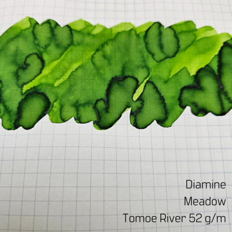 Diamine - Meadow - Inksample