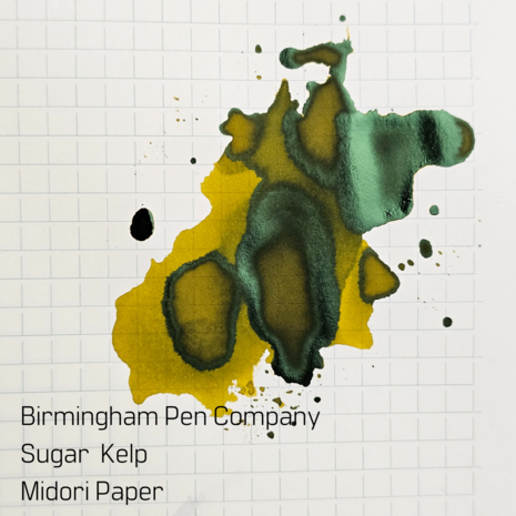 Birmingham Pen Company - Sugar Kelp - Ink sample