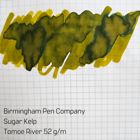 Birmingham Pen Company - Sugar Kelp - Ink sample