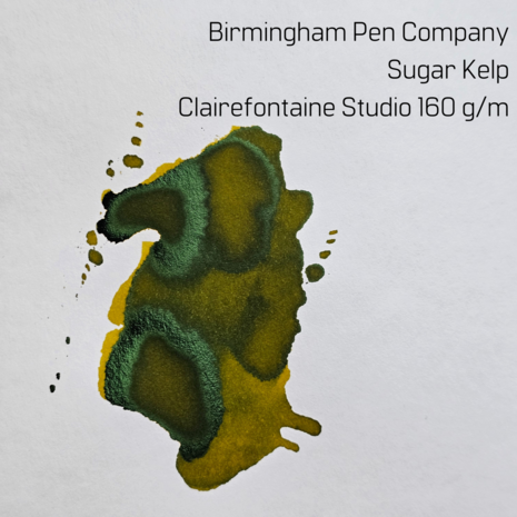 Birmingham Pen Company - Sugar Kelp - Ink sample