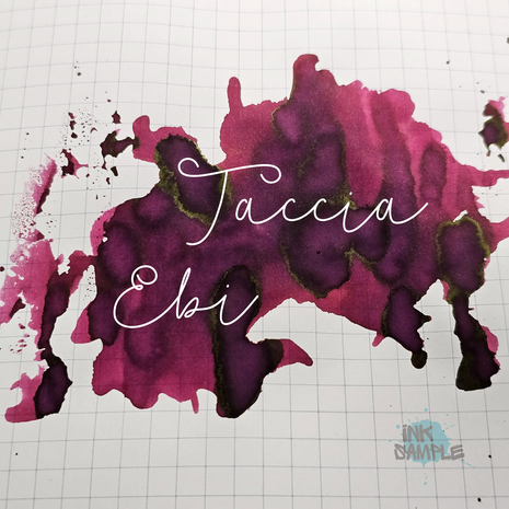 Taccia - Ebi