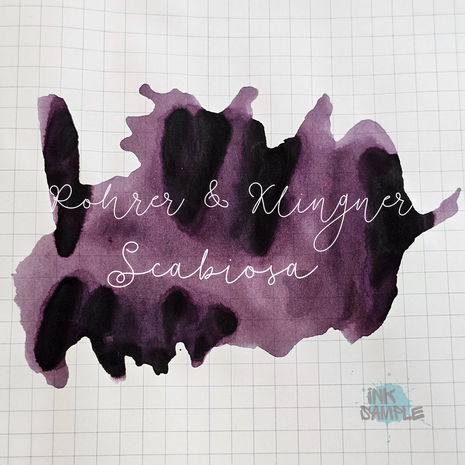 Rohrer &amp; Klingner - Scabiosa