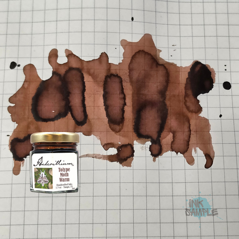 Anderillium - Tolype Moth Warm