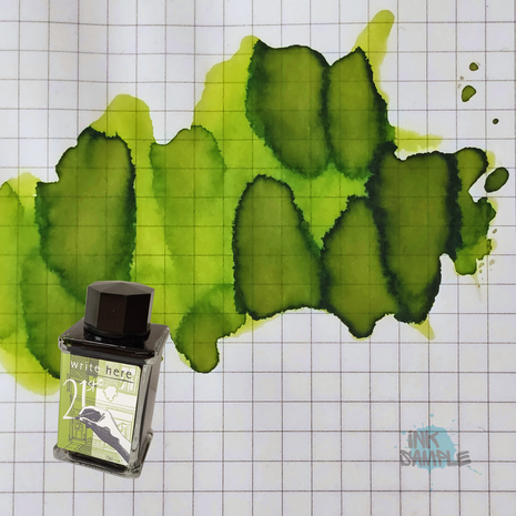 Diamine x Write Here - 21st Anniversary - WH21