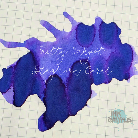 Kitty Inkpot - Staghorn Coral